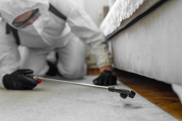 Professional Bed Bug Control technician working in Priceville, AL