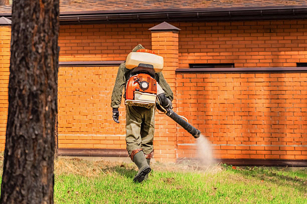 Trusted Ant Control service in Priceville, AL - Nex Pest Control